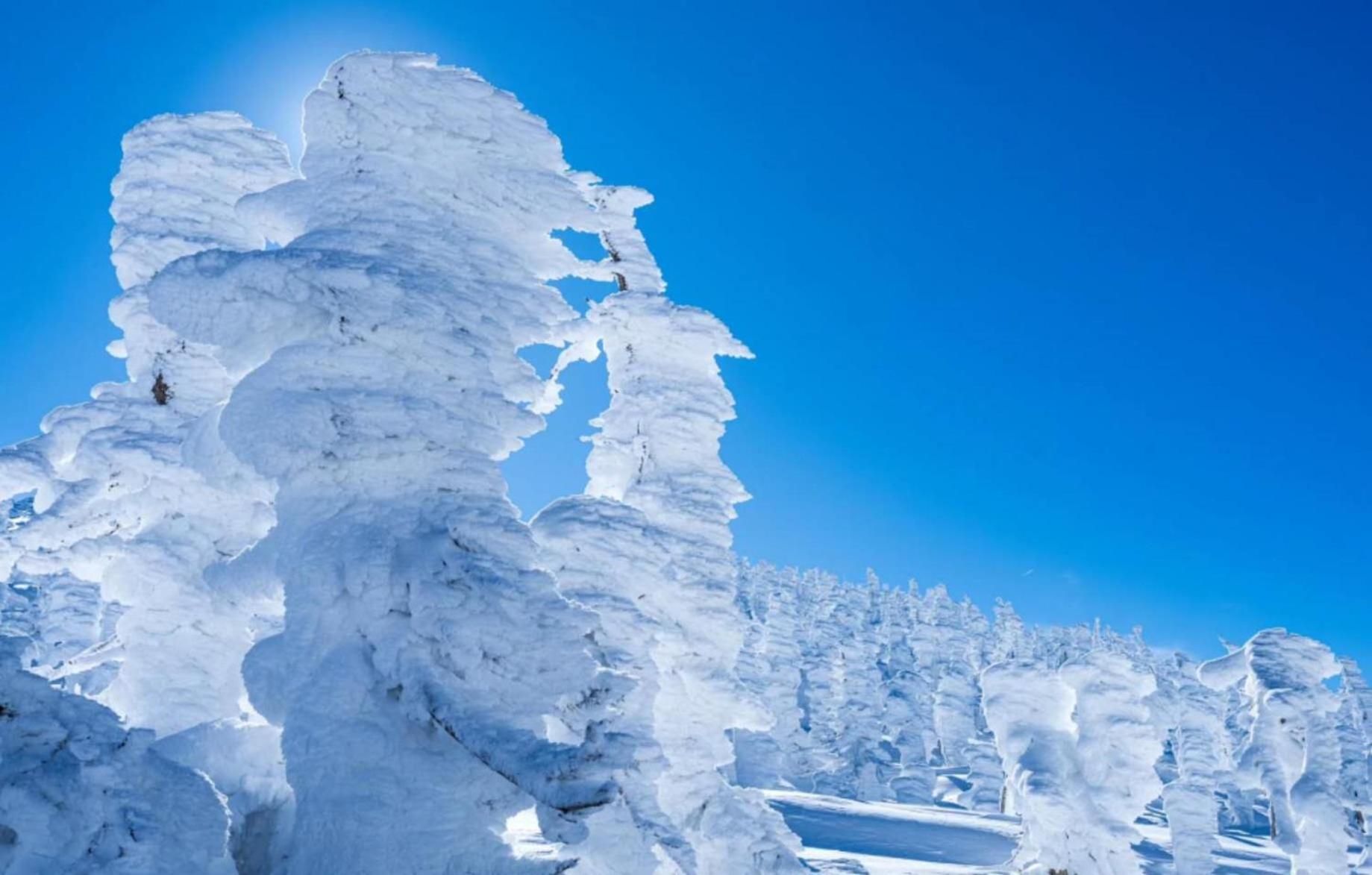Snowfall Meteor 飛雪流星 Kaminoyama Bagian luar foto